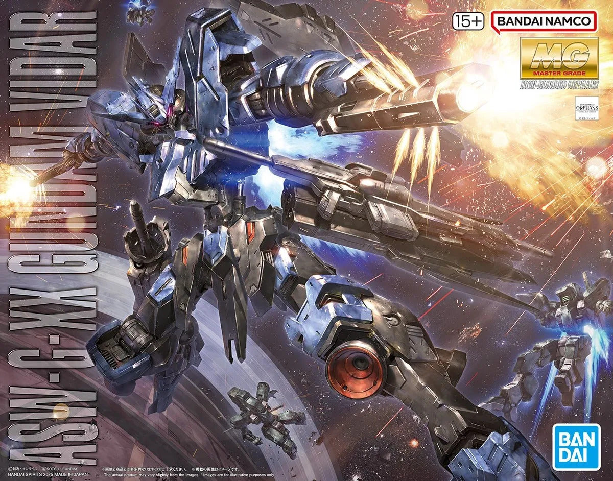 BANDAI GUNDAM MG 1/100 VIDAR