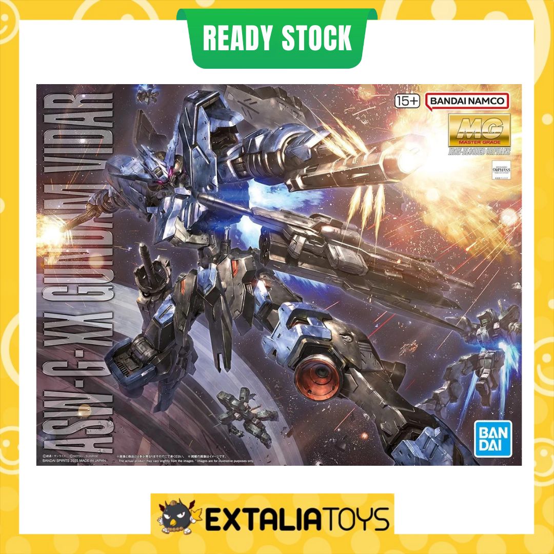 BANDAI GUNDAM MG 1/100 VIDAR
