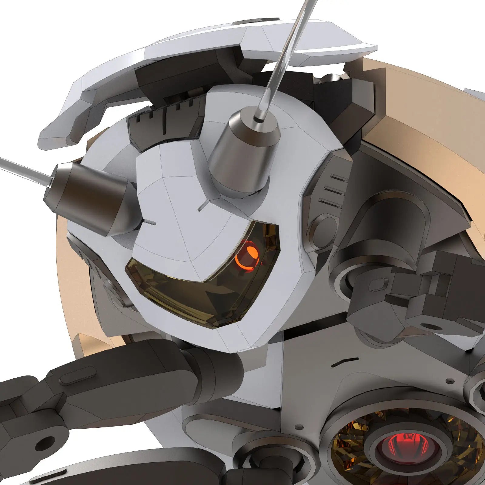 Guangdong Cockroach Model Kit