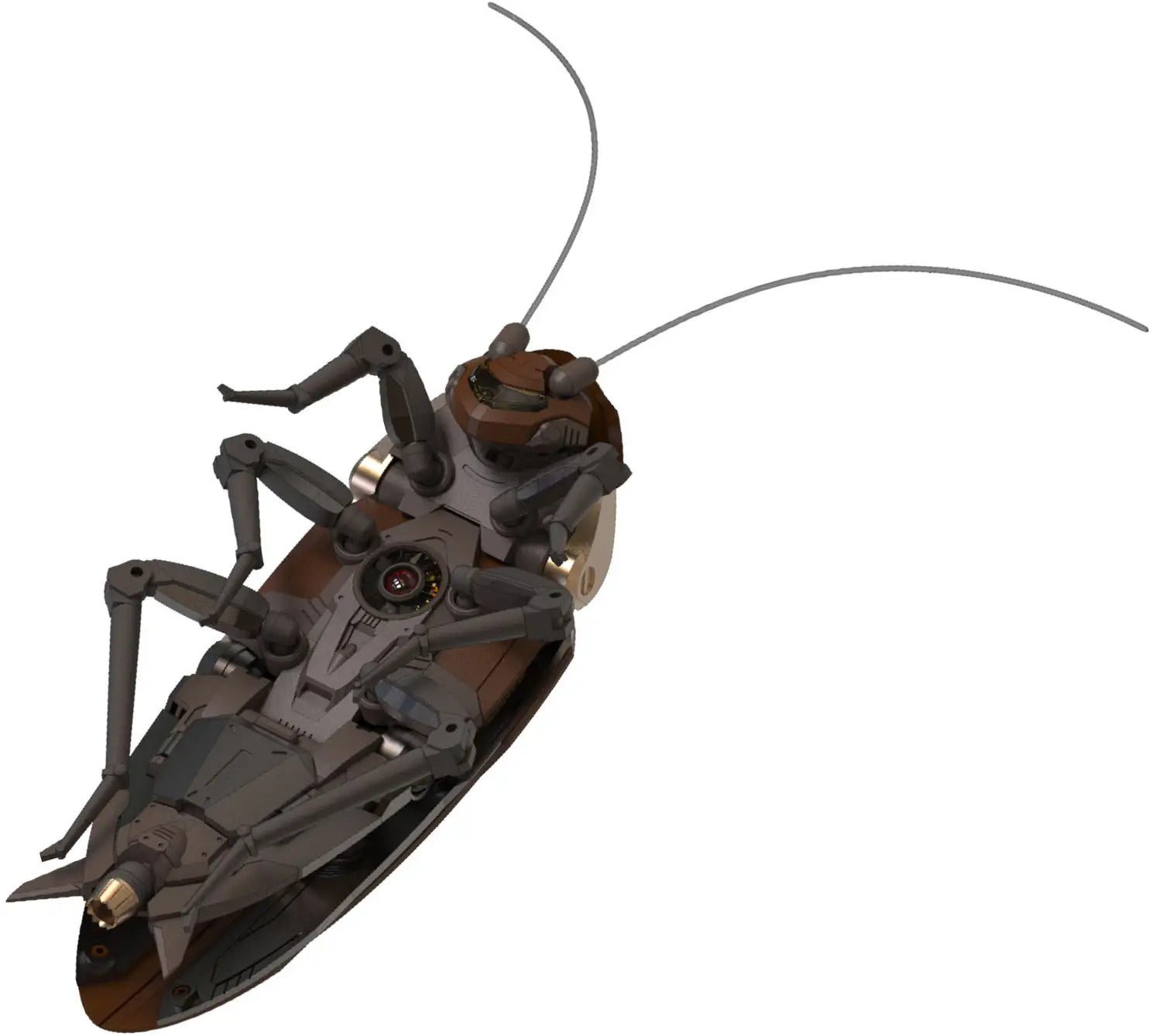 Guangdong Cockroach Model Kit